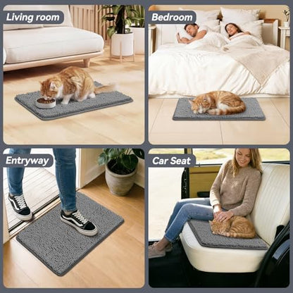 Bcoimo Super Absorbent Chenille Door Mat, Non-Slip Quick Dry Entryway Rug