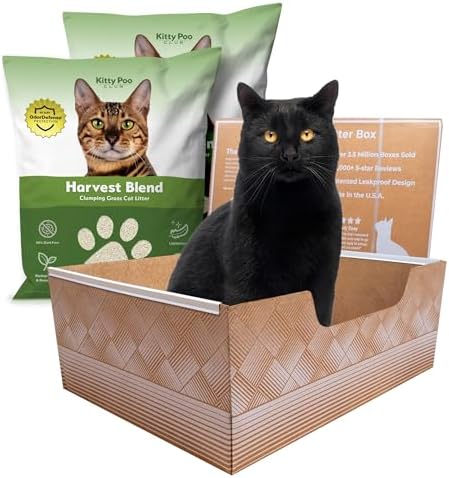 Kitty Poo Club Disposable Cat Litter Box 2-Pack with Grass Litter