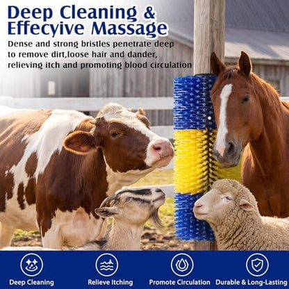 3 Pack Livestock Scratching Brush, Yellow and Blue