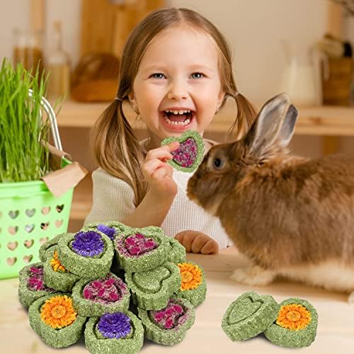 20PCS Bunny Chew Toys for Bunny's Teeth Organic Timothy Hay Cakes
