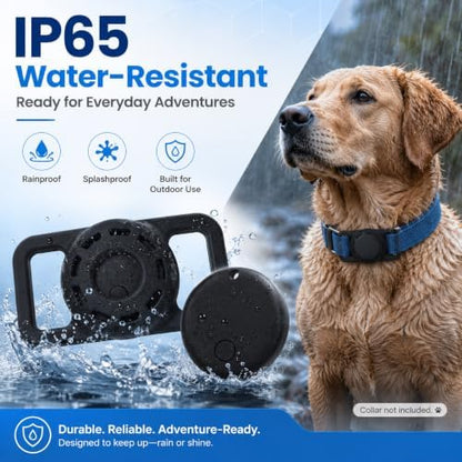 GPS Smart Collar for Dogs, Android Pet Tag. Waterproof, Google Find My Compatible, No Monthly Fee. Advanced Tracker ensures Safety for Small to Large Dogs. (Tracker for Dog)