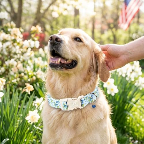 Blueberry Dog Collar and Bowtie Pattern, Cute Adjustable Puppy Collar with Quick Release Buckle and Lovely Blueberry Charm,for Small Medium Large Dogs
