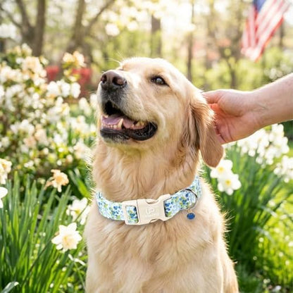 Blueberry Dog Collar and Bowtie Pattern, Cute Adjustable Puppy Collar with Quick Release Buckle and Lovely Blueberry Charm,for Small Medium Large Dogs