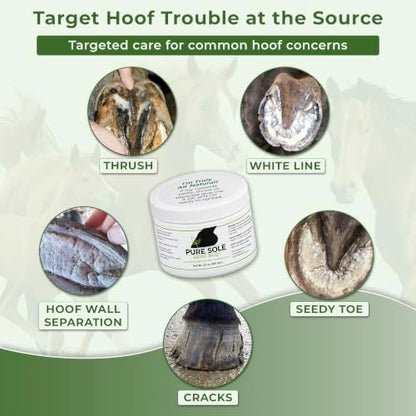 Pure Sole Hoof Clay for Horses Hoof Mud | for Horses with Thrush-Prone Hooves, Deep Sulcus Cracks & White Line Issues | Thick Creamy Hoof Clay for Wet, Muddy Conditions, 32 oz