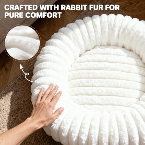 Donut Pet Bed for Indoor Cats and Small Dogs, Self-Heating Dog Bed with Non-Slip Bottom, Winter Comfort Dog Beds for Puppies, Washable & Portable Egg Tart Shape (S) Small cat Bed self Warming