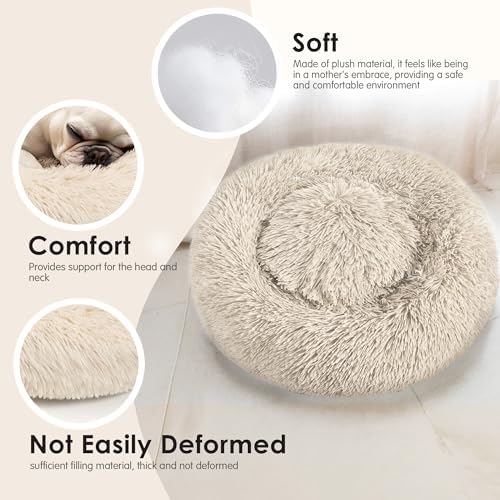 Hoewina Dog & Cat Bed, 20in Cat Beds for Indoor Cats (Light Brown)