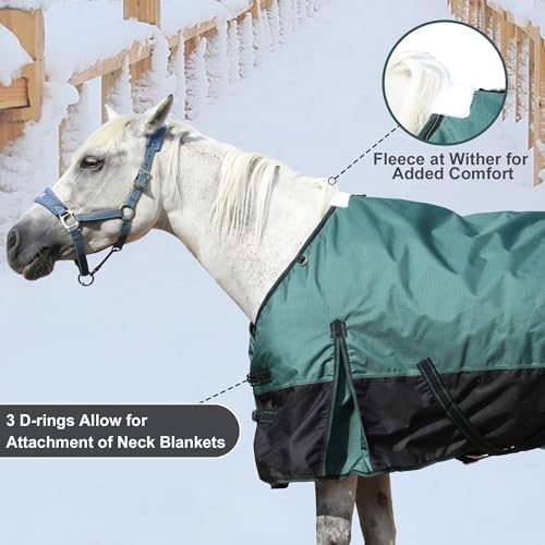 1200D Horse Blanket, 200g Medium Weight Waterproof Winter Turnout