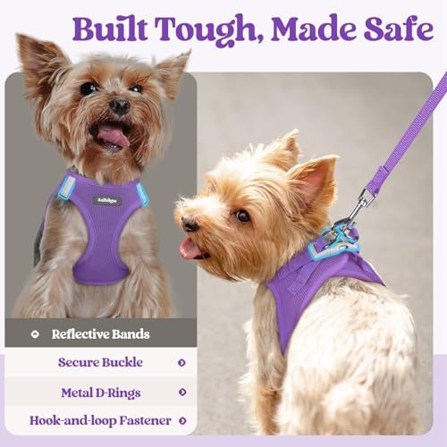 rabbitgoo Dog Harness Medium Sized and Leash Set, Step-in Puppy Pet Vest