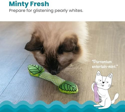 Catstages Fresh Breath Mint Stick Dental Cat Chew Toy with Catmint,Teeth Cleaning & Fresh Breath,Solo or Interactive Play,Green,(Pack of 2)