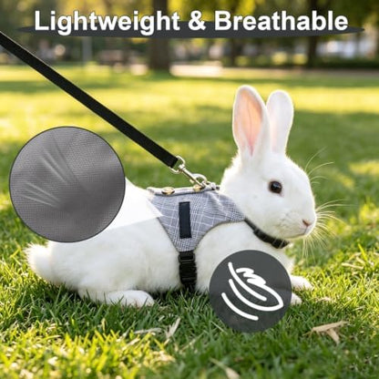 Hypeety Multipurpose Rabbit Vest Harness and Leash Set Adjustable Vest, L