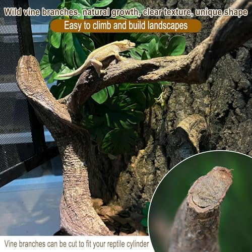 BNOSDM Reptile Forest Climbing Branch Decor 6PCS Crested Gecko Climb Wood Natural Branches Tree for Snake Frog Chameleon Spider Bearded Dragon Terrarium Habitat Tank Accessories