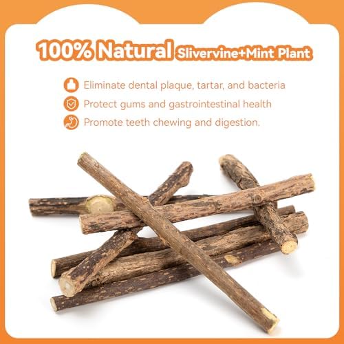 6Pcs Silvervine Sticks for Cats with Catnip Bag, Cat Chew Toys for Teeth Cleaning and Anxiety Relief, Natural Dental Care Kit for Indoor Cats & Kittens
