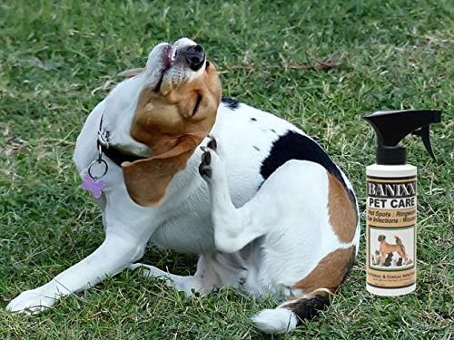 BANIXX Horse and Pet Care Spray for Horses, Dogs and Cats, Daily Skin and Coat Care Spray, Alcohol-Free, Non-Staining, No Odor, Made in USA, Grooming and Hoof Care Formula, 8 oz