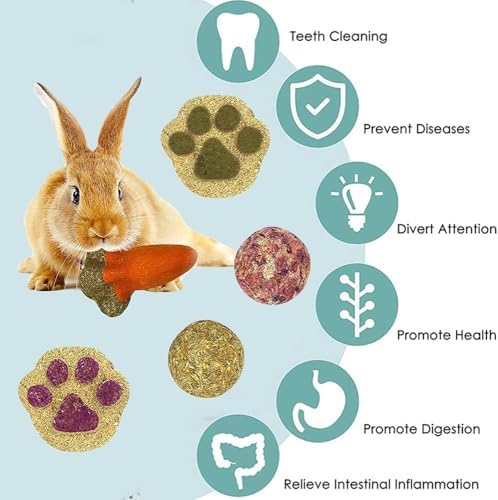 16PCS Guinea Pig Toys, Rabbit Play Balls Rolling, Teeth Care Molar Toys for Hamster Rabbit Guinea Pig Rats Gerbils Hamster Chinchilla Etc