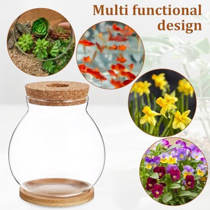 Balacoo Desktop Hydroponic Fish Bowl - Clear Glass Small Fish Tank