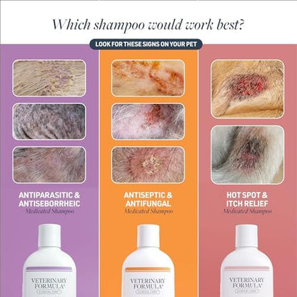 Veterinary Formula Clinical Care Antiseptic & Antifungal Shampoo, 2-Pack