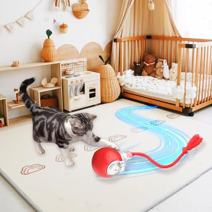 Smart Cat Ball Toy, Interactive & Rechargeable for Daily Play