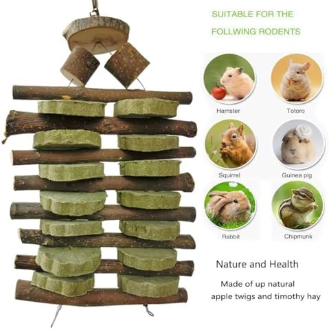 Bunny Chew Toys for Teeth Organic Fruitwood Sticks for Bunny Rabbits Chinchilla Guinea Pigs Hamsters Parrots and Other Small Animals Chewing and Playing Pet Snacks Toys with Grass Cake (Pack of 2)