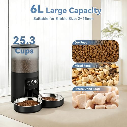 DUMOS 6L Automatic Cat Feeder for 2 Cats, Timed Pet Food Dispenser, Black