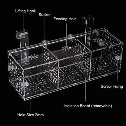 Yosoo Health Gear Clear Acrylic Fish Breeding Isolation Box, 30x10x10cm