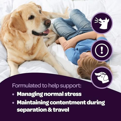 Calming Chews for Dogs | Herbal Dog Calming Chews for Anxiety from Normal and Occasional Stressors Including Separation Storms Grooming & Travel | NASC Certified & Made in the USA | 60 Count