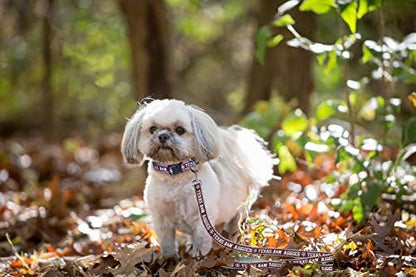 NCAA PET String, Small, Texas A&M Aggies, Dog String, Shiny & Colorful String for Dogs & Cats Licensed by The NCAA, Old Version