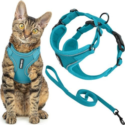 Voyager Escape-Proof Step-in Lock Cat Harness & 5ft Neoprene-Handle Leash Set All-Weather Mesh with Reflective Stitching for Small to Large Cats by Best Pet Supplies, Turquoise (327), XS