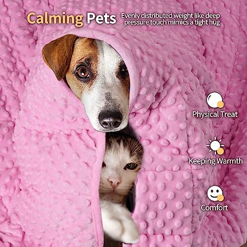 LaSyL Weighted Blanket for Pets | Thunder Blanket for Dogs Anxiety | Premium Soft Minky | Relaxation & Calming & Anti Anxiety | Used in Car, Bed, Couch | Pink, Washable Medium (32"x40")