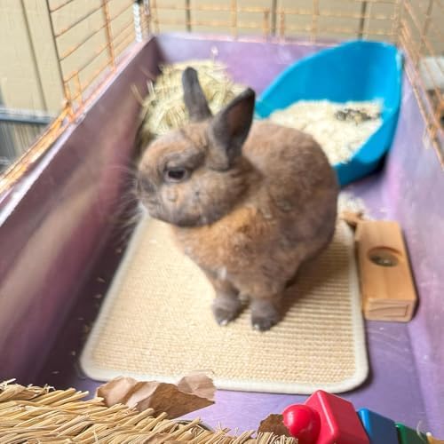 Rabbit Scratching Pad, 2-Pack Sisal Cage Mat for Chew & Rest, 24 x 16 inch