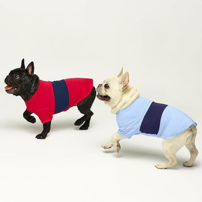 Fitwarm 3 Pack Color Block Striped Dog Shirt, Summer Dog Clothes for Small Dogs, Breathable Lightweight Pet Tshirt with Sleeves, Cat Outfit, Red, Blue, Grey