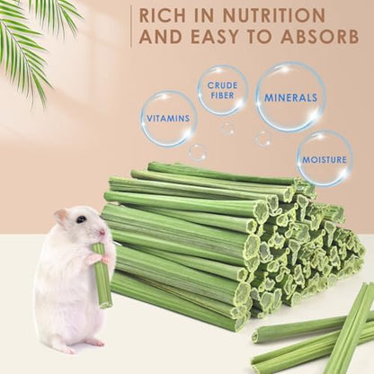 Bissap Rabbit Chew Sticks, Natural Papaya Stems Bunny Chews Treats for Rabbit Hamster Chinchilla Guinea Pig Small Animals Organic Molar Chewing Snack (100 PCS)