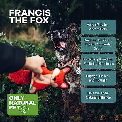 Only Natural Pet Mountain Friends Recycled Plush Dog Toys - Durable Double-Stitched Design with Internal Squeaker, Large Plush Ears & Soft Crinkle Tail - Squeaky Pet Toy | Francis the Fox, 5.5" x 12"