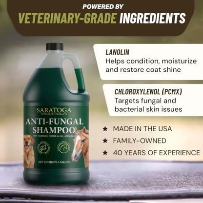 Antifungal Shampoo for Horse Antibacterial Formula Clinical Care Antiseptic