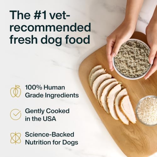 JustFoodForDogs Pantry Fresh Wet Dog Food, Complete Meal or Dog Food Topper, for Sensitive Stomachs, Balanced Remedy Human Grade Dog Food Recipe - 12.5 oz (Pack of 12)