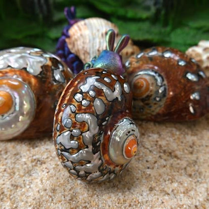 2pcs Hermit Crab Shells Large, Big Size Opening 1.3-1.9" Natural Sea Conch