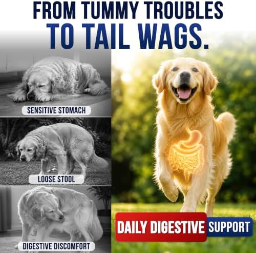 Probiotics for Dogs - Dog Probiotics with Digestive Enzymes, Soft Chews