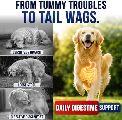 Probiotics for Dogs - Dog Probiotics with Digestive Enzymes, Soft Chews