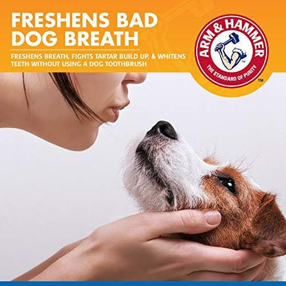 Arm & Hammer Tartar Control Dental Spray for Dogs, Mint, 4 Fl Oz, 24-Pack