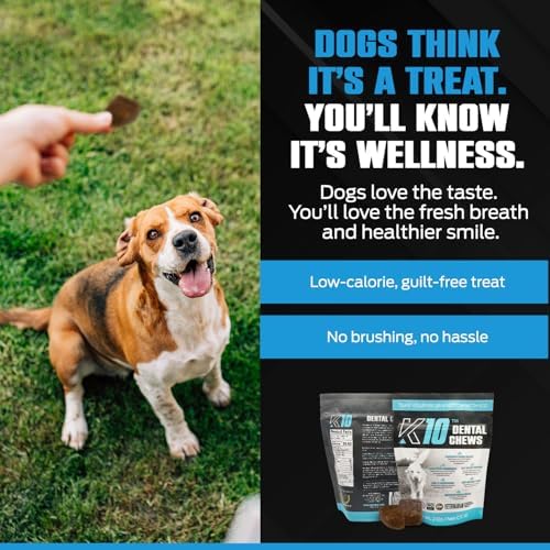 K10 Dental Chews for Dogs, Human-Grade Dog Dental Cleaning Chews, 10 Count
