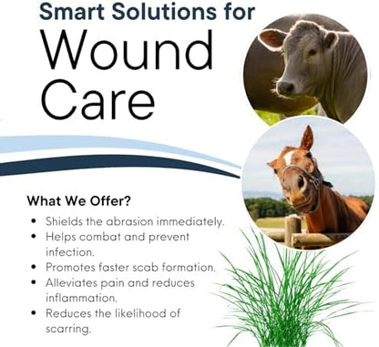 Wound Salve - For Horses, Pets, Livestock & People - Calendula, Shields Abrasions, Stops Infections, Promotes Scabbing, Reduces Inflammation & Scarring, Vet-Approved - Bev's Magic Salve (12 oz)
