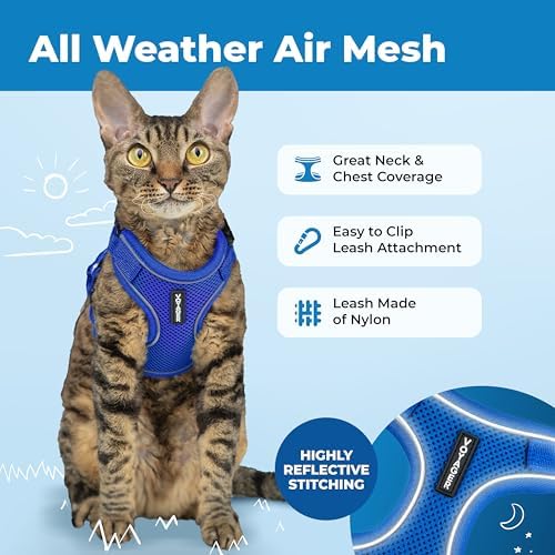 Voyager Escape-Proof Step-in Lock Cat Harness & 5ft Neoprene-Handle Leash Set All-Weather Mesh with Reflective Stitching for Small to Large Cats by Best Pet Supplies, Royal Blue (327), S