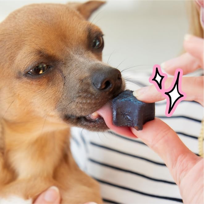 Spot & Tango PupGum Dog Dental Chews for Fresh Breath & Clean Teeth – Clinically Proven Ingredients – Human-Grade, Vet-Developed Daily Dental Treats for Dogs <15lbs – 28 Chews – Made in USA