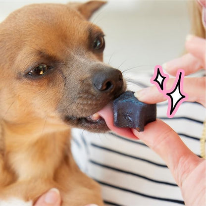 Spot & Tango PupGum Dog Dental Chews for Fresh Breath & Clean Teeth – Clinically Proven Ingredients – Human-Grade, Vet-Developed Daily Dental Treats for Dogs <15lbs – 28 Chews – Made in USA