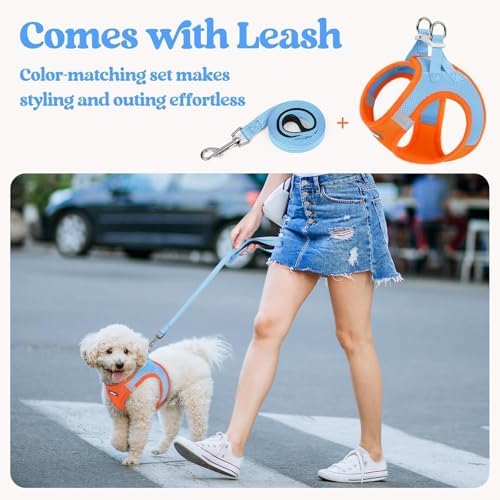 rabbitgoo Dog Harness Small Sized and Leash Set, Step-in Puppy Pet Vest