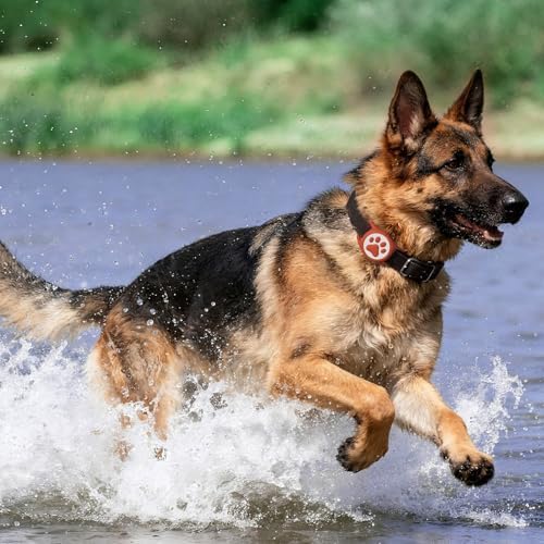 IP68 Waterproof Dog AirTag Holder for Dog Collar, Soft, Stretchy Silicone