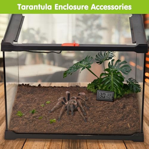 VCEPJH Reptile Soil Substrate Burrowing Tortoise Bedding for Habitat Bearded Dragon Enclosure Topsoil Terrarium Substrate for Snake Tarantula Gecko Lizard Spidey Frog Hermit Crab (3 L)