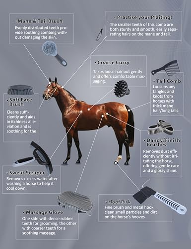 Harrison Howard Horse Grooming Kit, 11-Piece Horse Brush Set with Tote