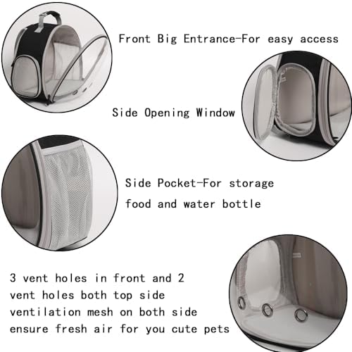 Desert Iguana Backpack Carrier,Bearded Dragon Portable Backpack Carrier with Small Backpack Harness Leash Set,Space Capsule Clear Bubble Window Travel Backpack for Lizard Travel,Guinea Pig,Rabbit
