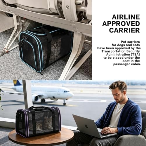 Cat Carrier, Soft-Sided Pet Carrier Bag, Breathable Mesh, Black (Purple, 20 * 13 * 13)