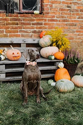 Lionheart glory Premium Dog Collars, Bowtie Dog Collar, Adjustable Heavy Duty Halloween Dog Collar with Bow for Large Dogs